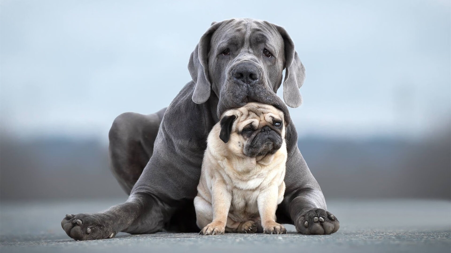 划破盐湖城阴霾的雷霆，保罗·乔治如何用一节比赛完成救赎